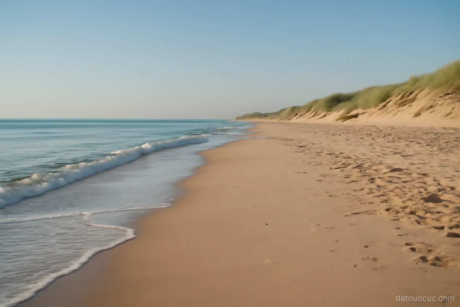 A long stretch of empty sandy beach with gentle waves and low dunes, clear morning sky